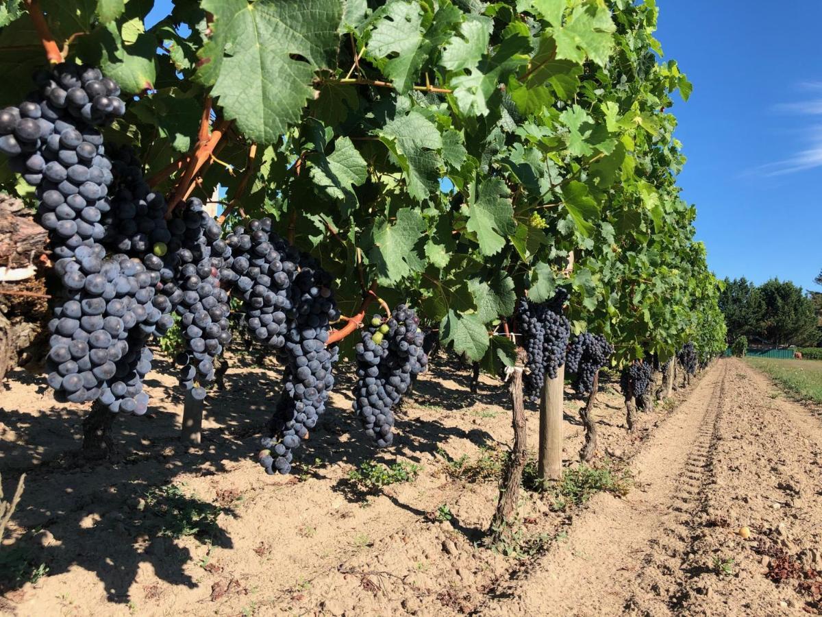 Clos De Bertinat Saint-Sulpice-de-Faleyrens Buitenkant foto