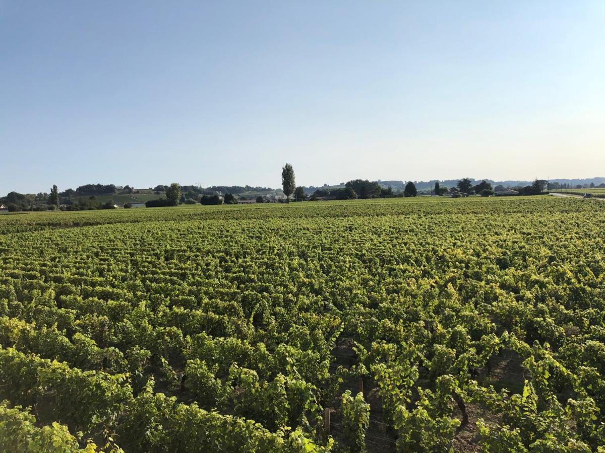 Clos De Bertinat Saint-Sulpice-de-Faleyrens Buitenkant foto